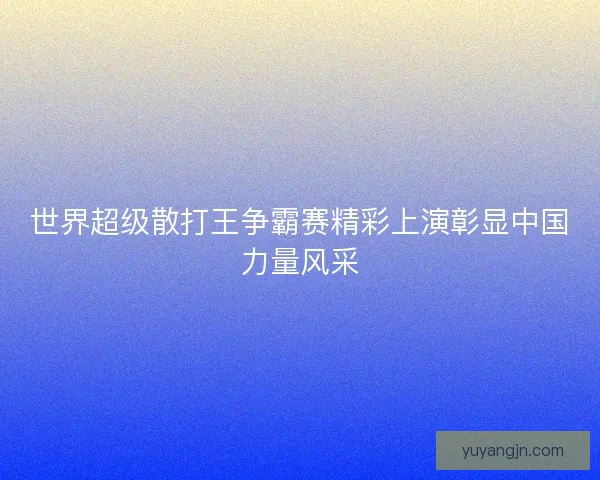 世界超级散打王争霸赛精彩上演彰显中国力量风采 世界超级散打王争霸赛精彩上演彰显中国力量风采